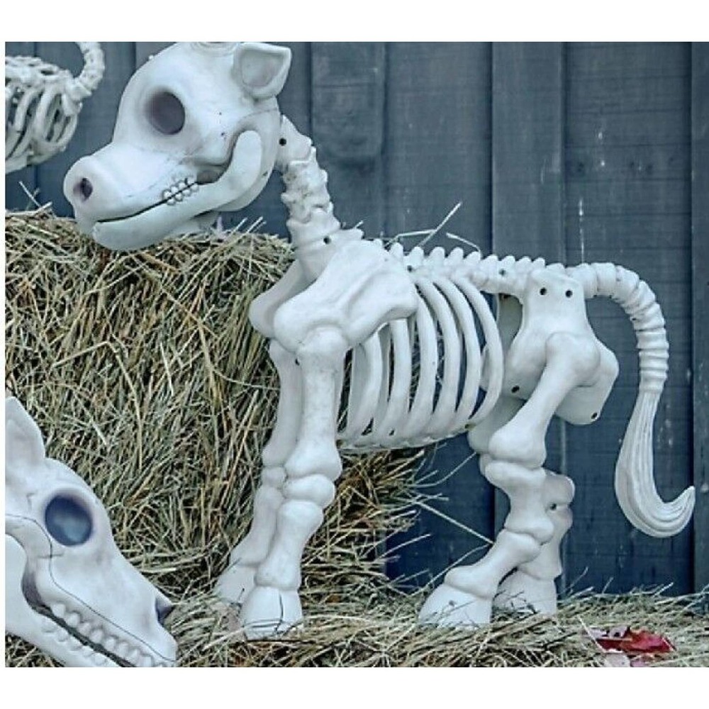 Red Shed Cow Skeleton Halloween Decoration Tractor Supply Tik Tok NEW SEALED